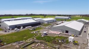 exploitation porcine à vendre