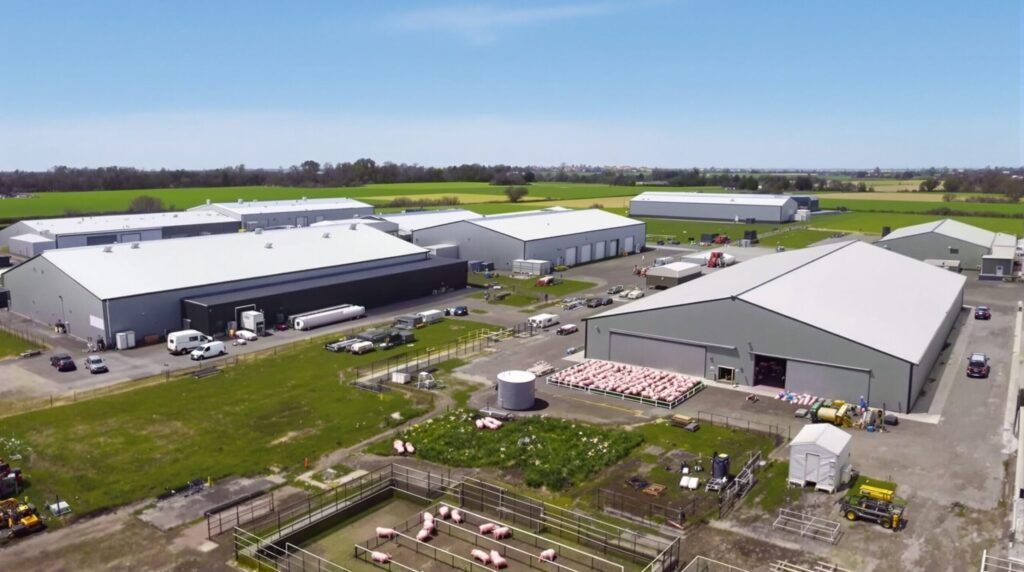 exploitation porcine à vendre