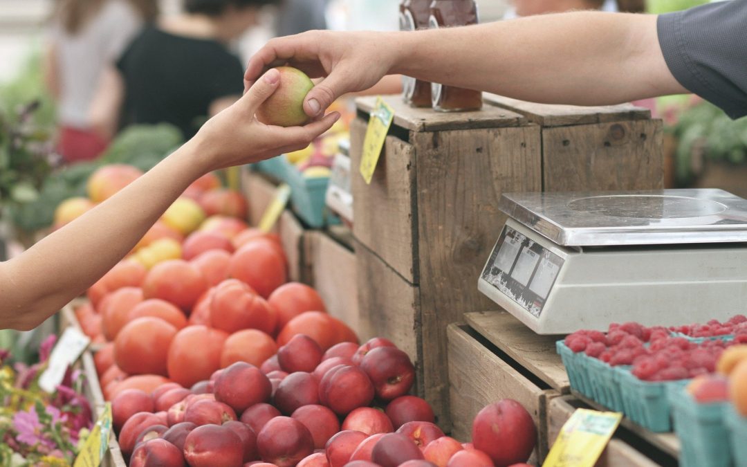 Coût moyen de l’alimentation par mois (cela pourrait vous surprendre !)